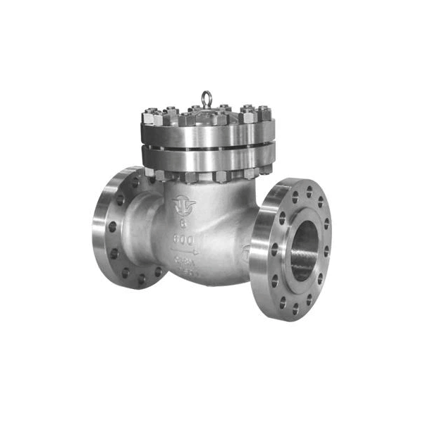 Casting Steel Check Valve