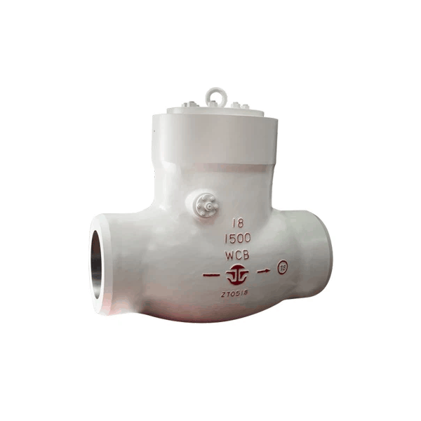 Super High Pressure Sealed Check Valve