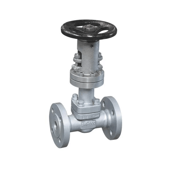 Bellows Gate Valve