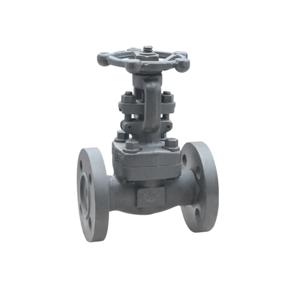 Forged Steel Globe Valve